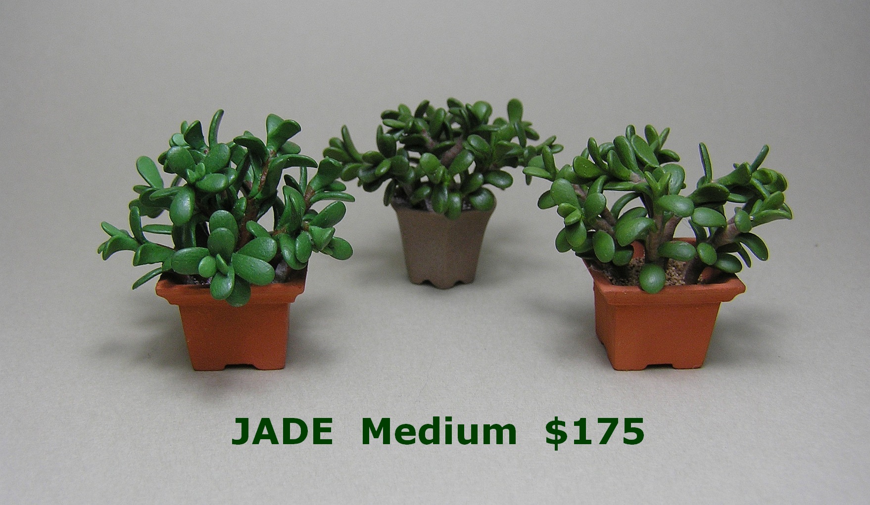 Jade Mediums
