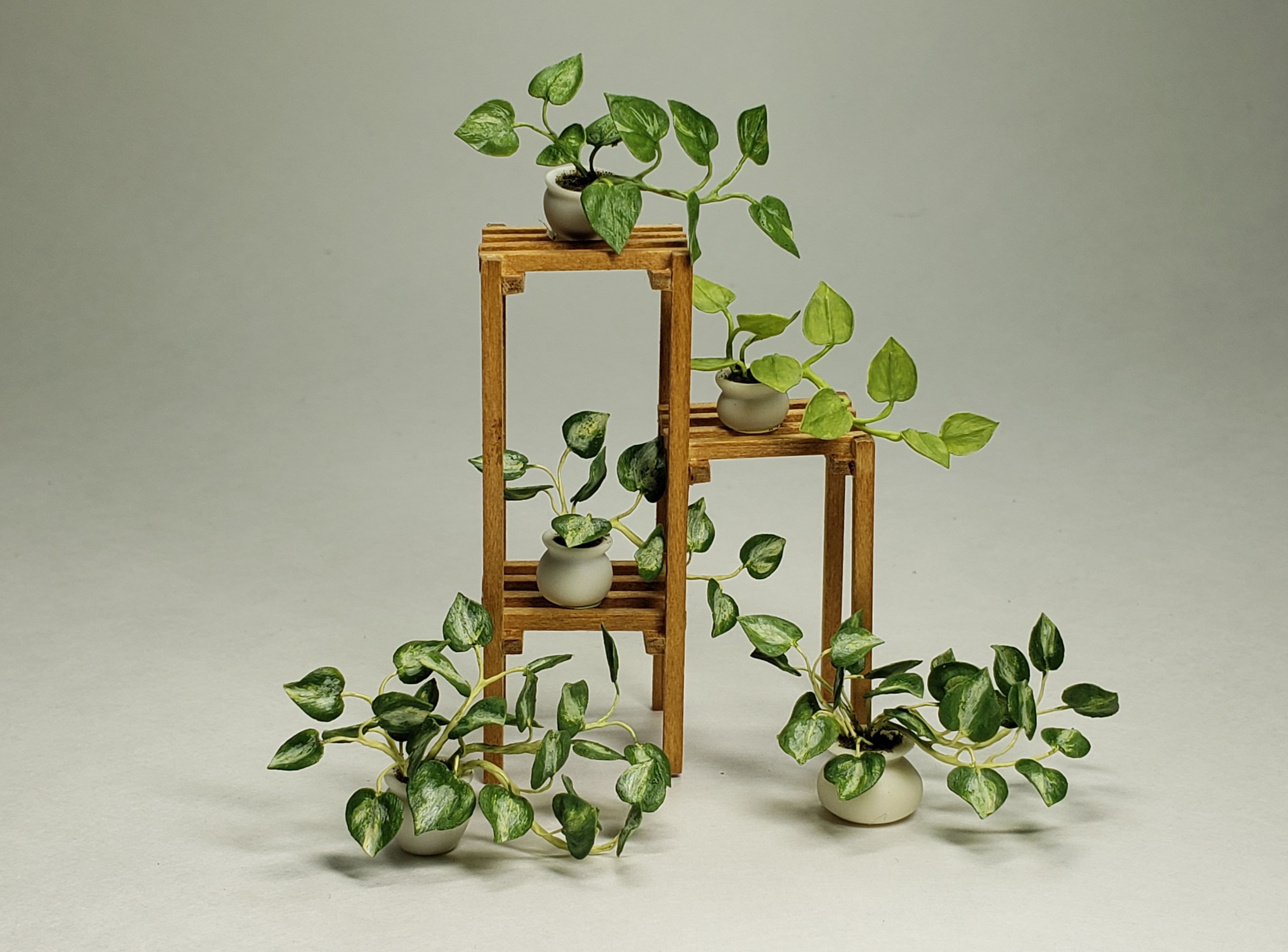 Pothos on plant stand